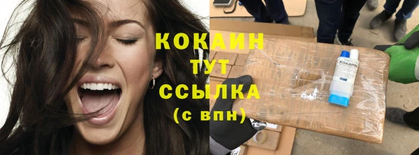 шишки Балабаново