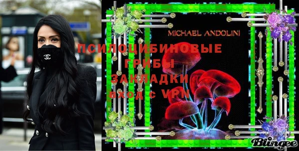 шишки Балабаново
