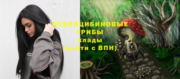 прущий лед Аркадак