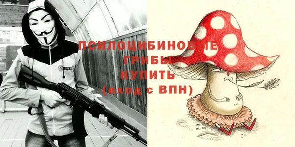 прущий лед Аркадак