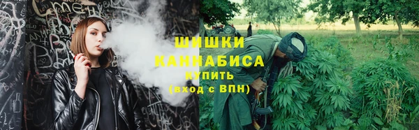 шишки Балабаново