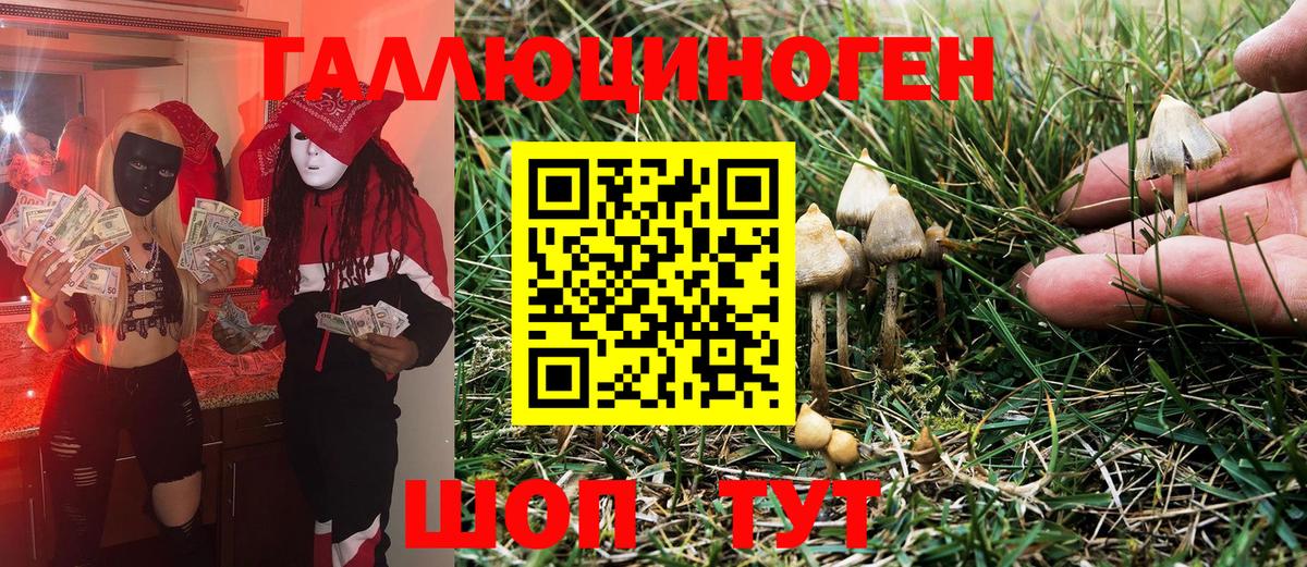 Псилоцибиновые грибы MAGIC MUSHROOMS Кубинка